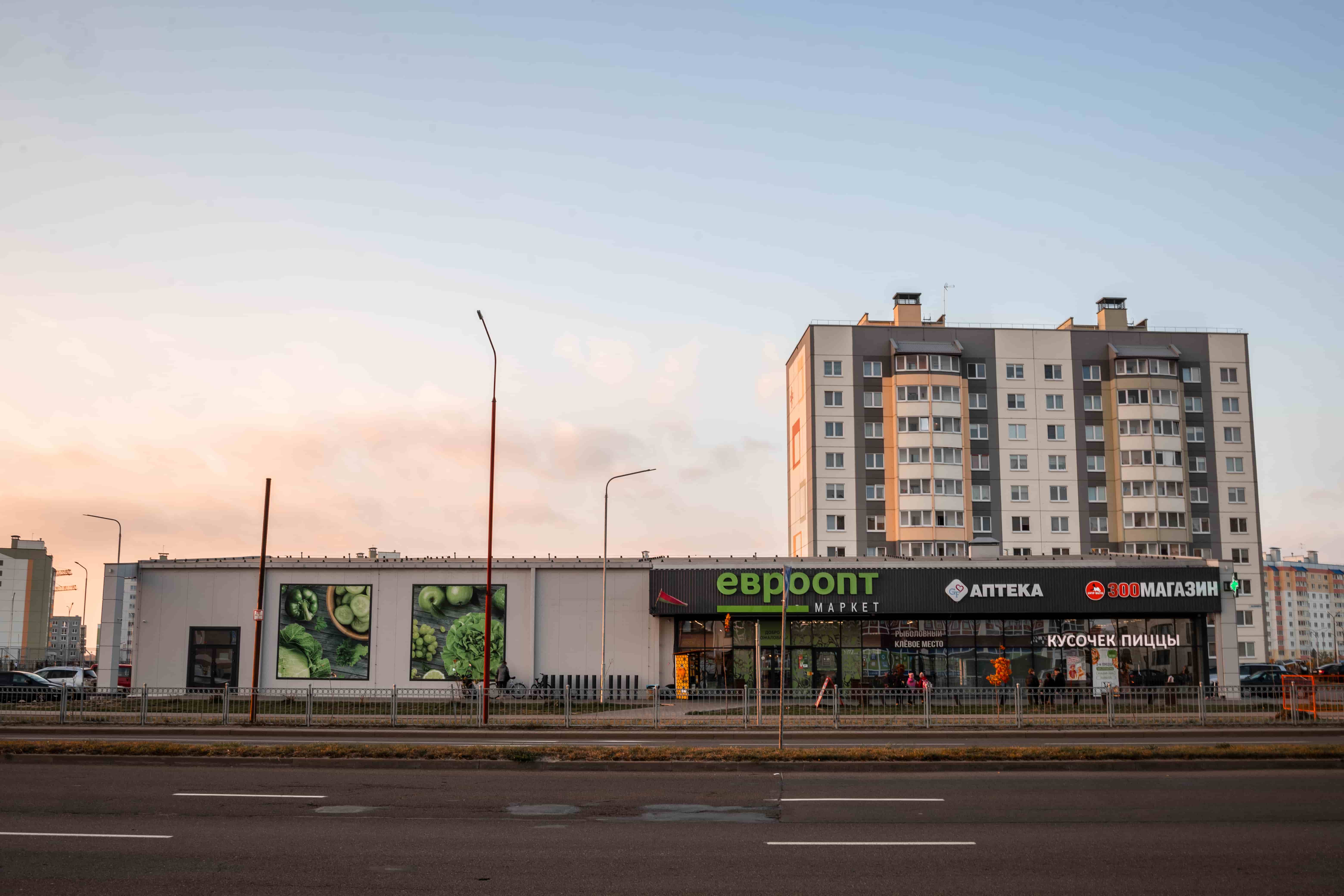 project-kopylsky-forestry